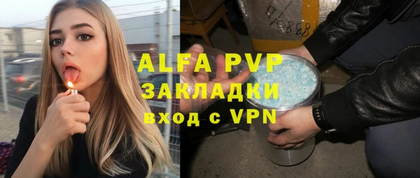 стаф Арсеньев