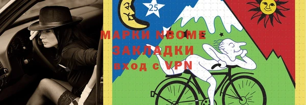 хмурый Аркадак