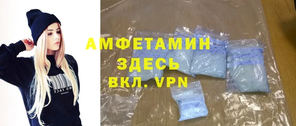 хмурый Аркадак