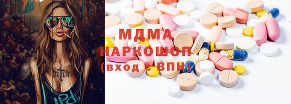 хмурый Аркадак