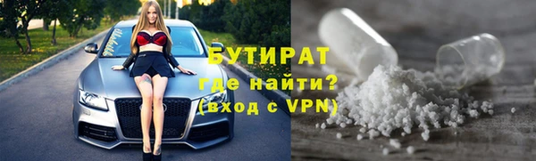 хмурый Аркадак