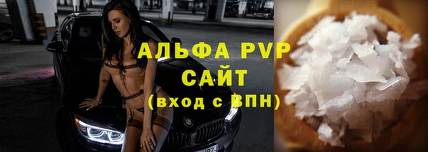 стаф Арсеньев