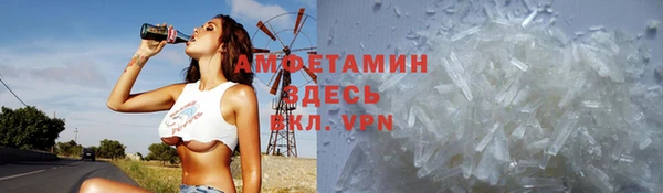стаф Арсеньев