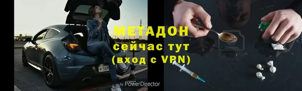 хмурый Аркадак