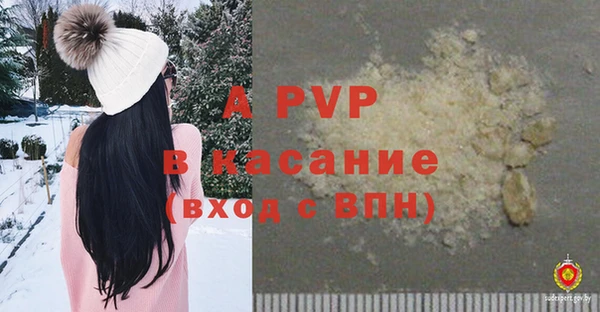 хмурый Аркадак