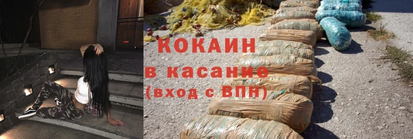 стаф Арсеньев