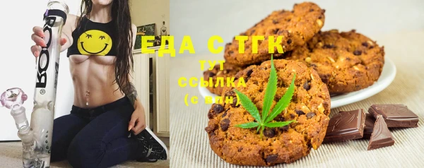 хмурый Аркадак