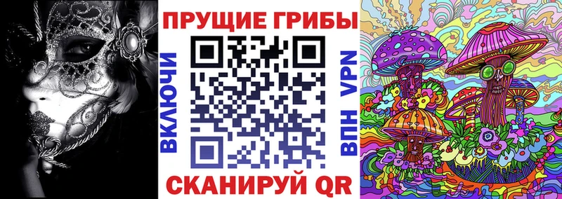 Псилоцибиновые грибы MAGIC MUSHROOMS  Купить закладки  Балтийск 