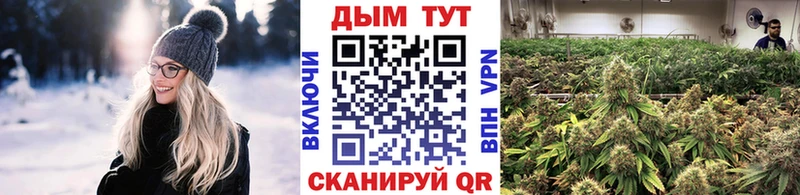 Каннабис индика  Купить  Балтийск 